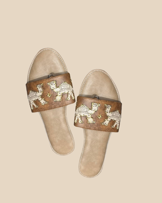 The Rajwadi Slides
